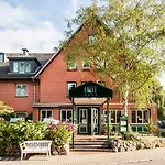 Birke, Ringhotel Kiel