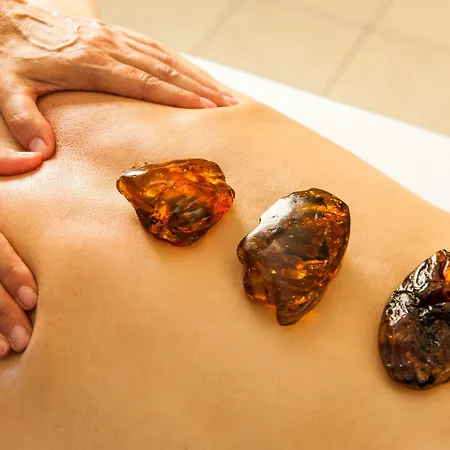 Birke, Ringhotel Отель 4*