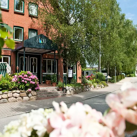 Birke, Ringhotel Отель 4*
