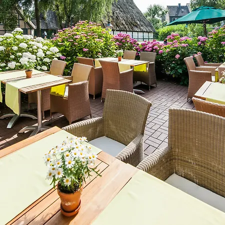 Birke, Ringhotel מלון 4*