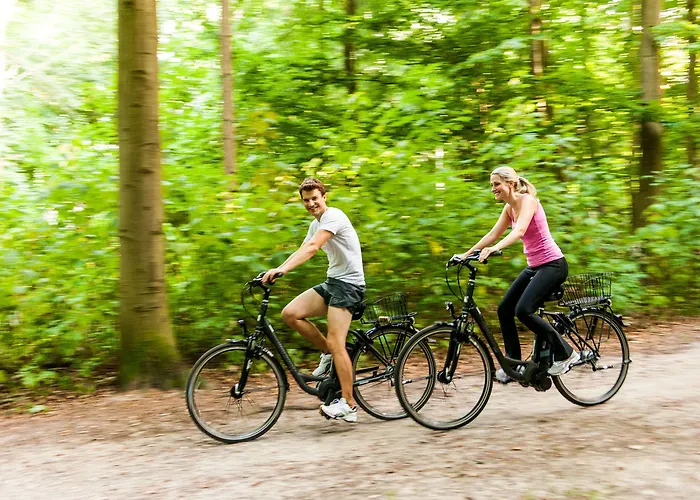 Birke, Ringhotel Hotel Kiel