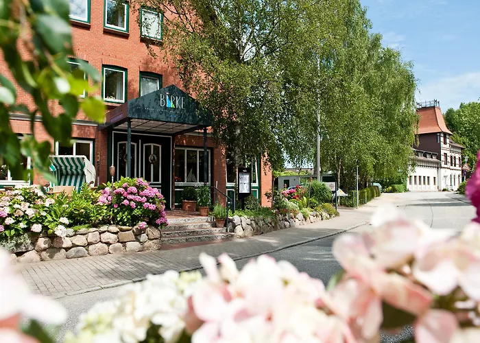 Birke, Ringhotel Отель 4*