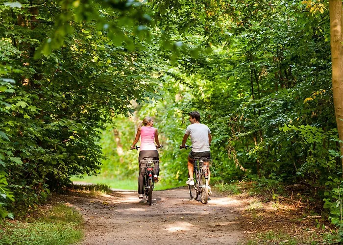 Отель Birke, Ringhotel Киль