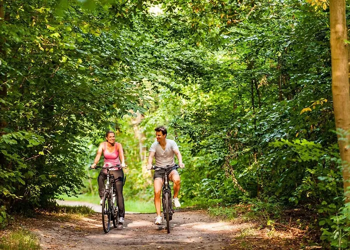 Birke, Ringhotel Hotell Kiel