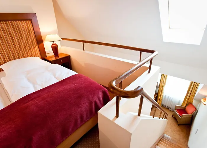 Birke, Ringhotel Kiel